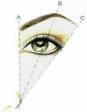 eye How to give a good shape to your Eyebrows