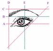 eyebrows How to give a good shape to your Eyebrows