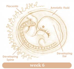 week6