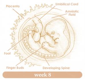 week8