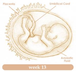week13