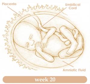 week20