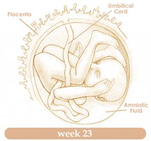 week23