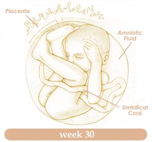 week30