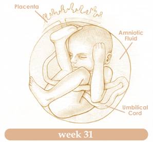 week31