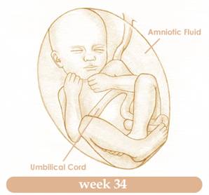 week34