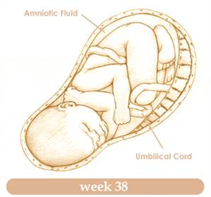 week38
