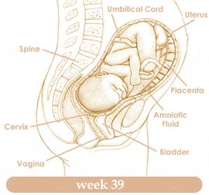 week39