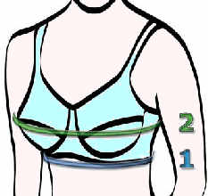 bra-sizing