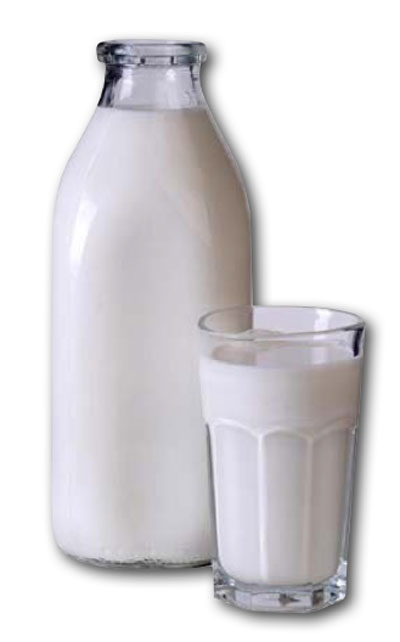 Easy Weight Loss Tips