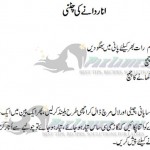 anardana chutney urdu recipe