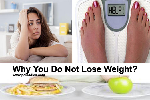 Why You Do Not Lose Weight
