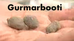 gurmarrbooti