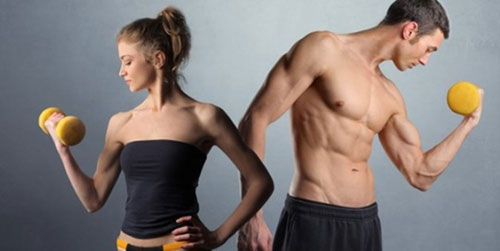 Burning Fat and Building Muscle Diet