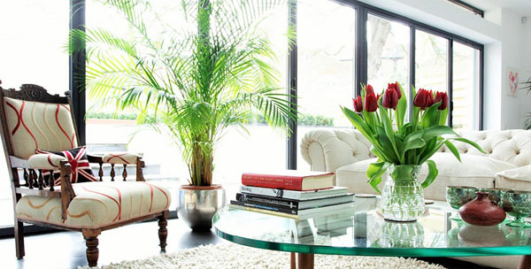 Living Room Ideas for Summer