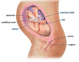 Your guide to being 30 weeks pregnant