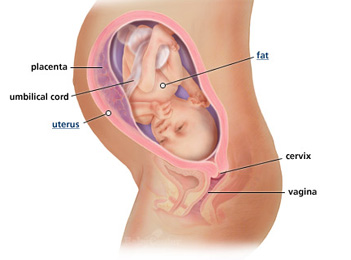 Your guide to being 31 weeks pregnant