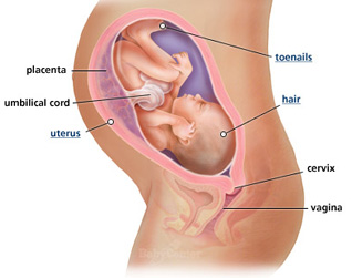 Your guide to being 32 weeks pregnant