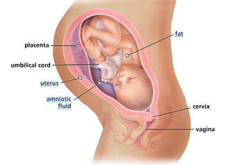 Your guide to being 35 weeks pregnant