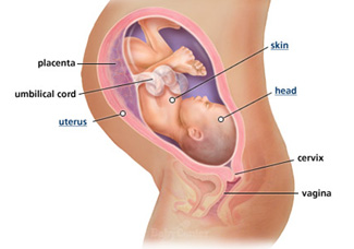 Your guide to being 36 weeks pregnant