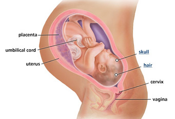 Your guide to being 40 weeks pregnant