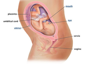 Your guide to being 27 weeks pregnant