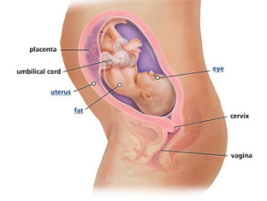 Your guide to being 28 weeks pregnant