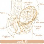 week33