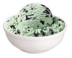 How to Make Chocolate Mint Ice Cream: English – Urdu Recipe