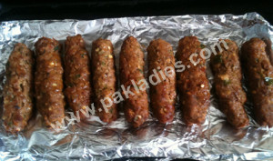 Delicious Seekh Kebabs and BBQ Masala
