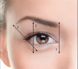 Balanced Eyebrow