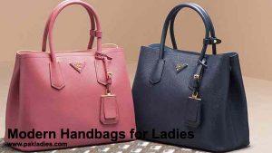 Modern Handbags for Ladies