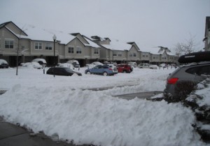 cold wave1