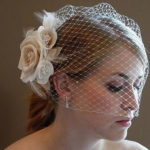 Birdcage veil