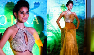 gorgeous saree blouse designs