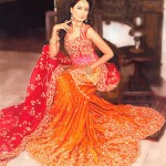 Stylish Bridal Lehenga