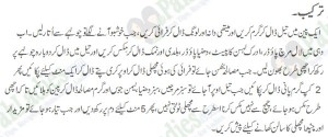 Machli ka Salan in Urdu