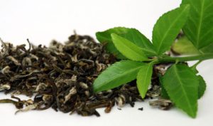 Benefits of Using Green Tea