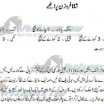 frozen parathay in urdu