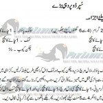 super hit dahi baray