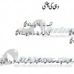 dahi ki chutney urdu recipe