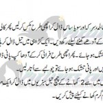 Fried Chops with Capsicums