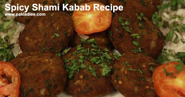Spicy Shami Kabab Recipe