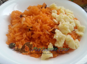 degi zarda