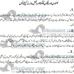 eye lashes and eyebrows