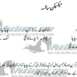 salsa recipe in urdu