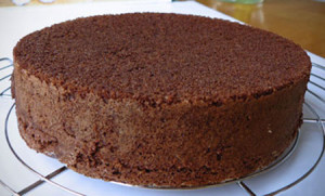 chocolate sponge cake