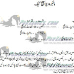 Microwave Sponge Cake