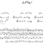 casata-ice-cream-urdu