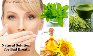 Natural Solution for Bad Breath